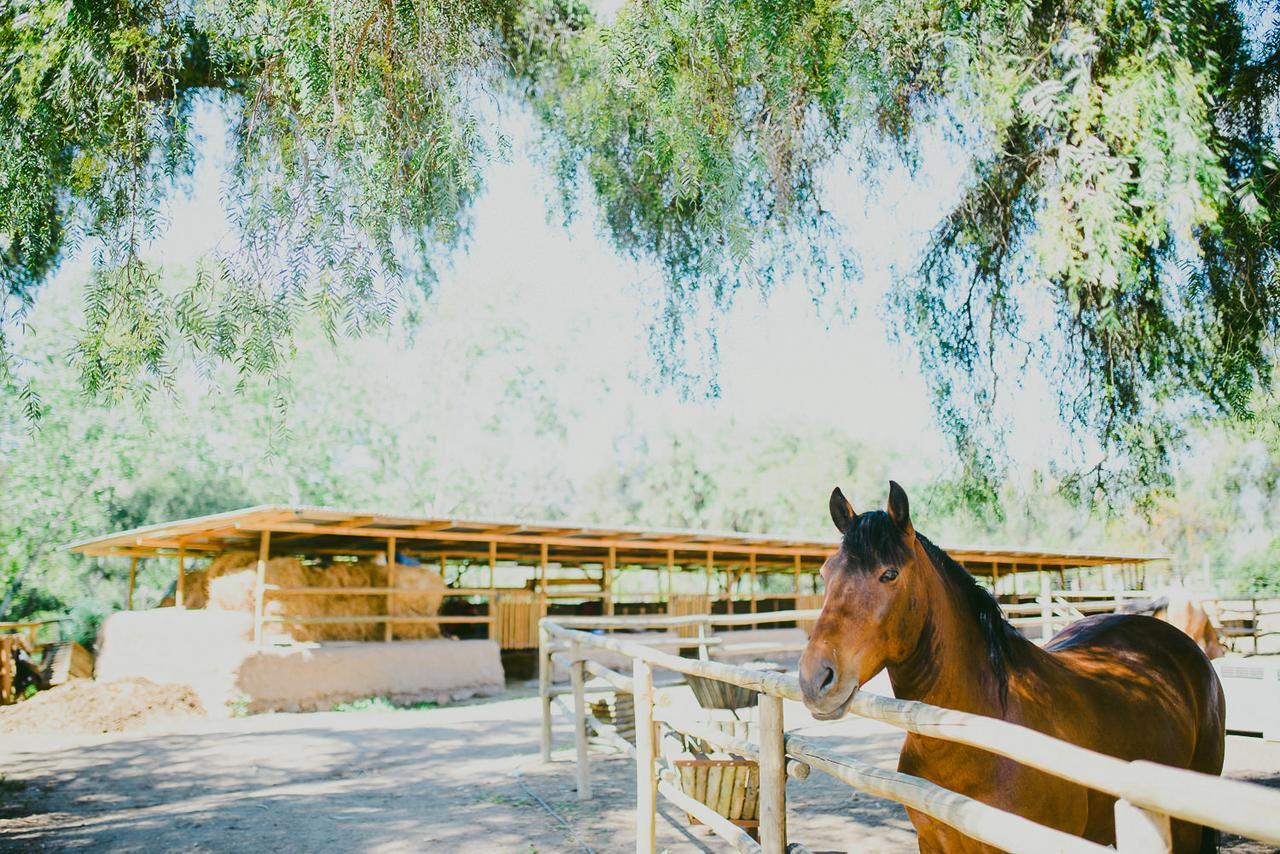 Hacienda Santa Cristina 호텔 오발레 외부 사진