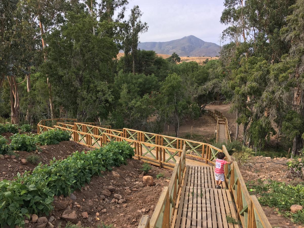 Hacienda Santa Cristina 호텔 오발레 외부 사진