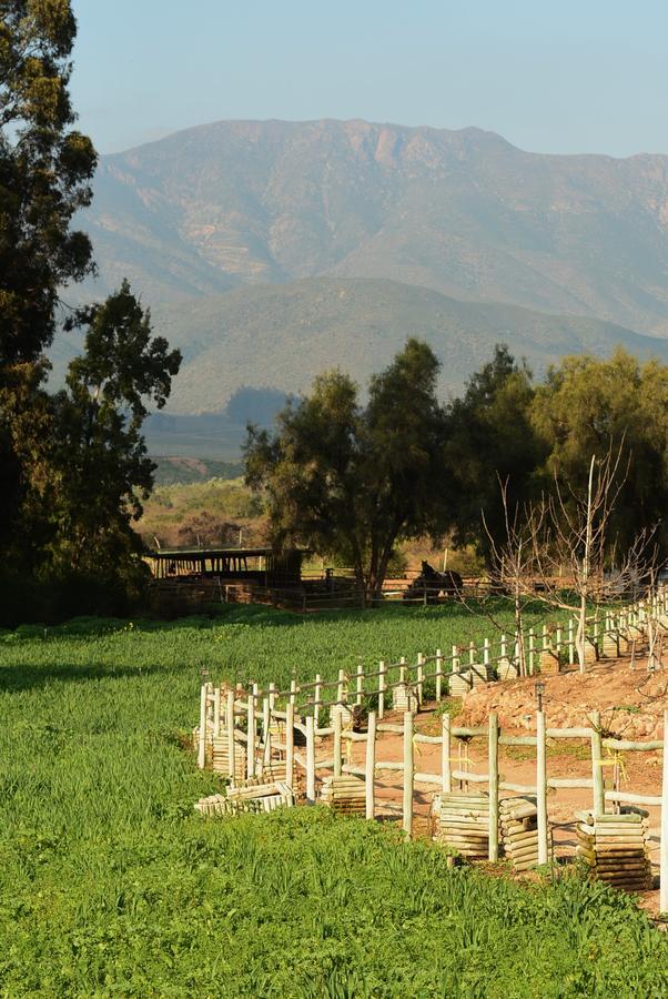 Hacienda Santa Cristina 호텔 오발레 외부 사진